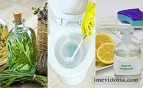 5 Ekologiska lösningar för att desinficera ditt badrum utan att skada din hälsa
