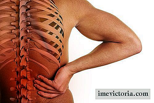 Kopplingen mellan ryggraden och organen