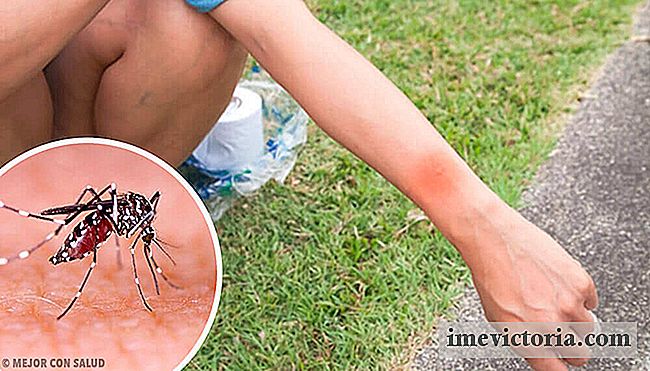Hva skjer når du kliper en myggbit?