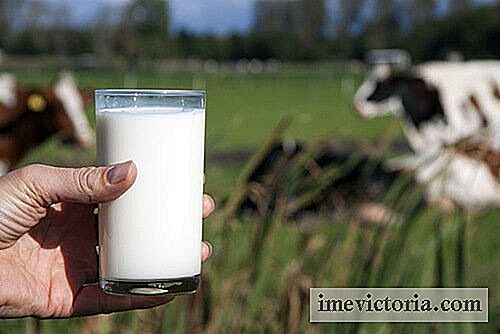 Waarom zouden we geen koeienmelk drinken?