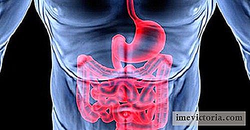 8 Semne ale unui sistem digestiv defect