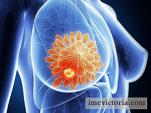 Carne grelhada e câncer de mama: um risco maior?