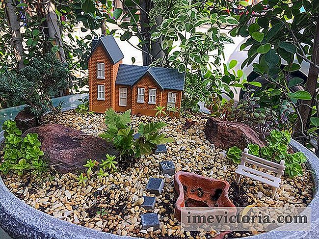 Mini Garden, 6 gode ideer for å lage det