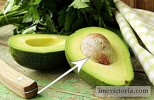 Bescherm uw lichaam met avocado-kernel
