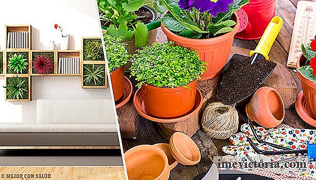 Revitaliser hjemmet ditt med disse 10 dekorere ideer med planter