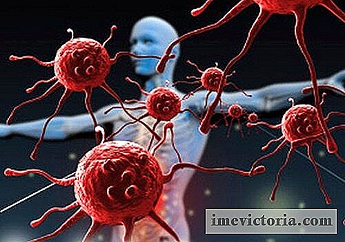 Was sind die Faktoren, die unser Immunsystem schwächen und zerstören?