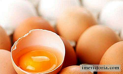 Vad är den bästa delen av ägget: vit eller gul?