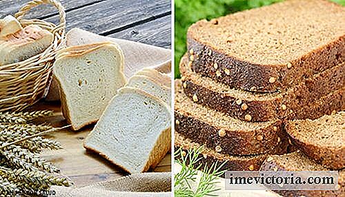 Vitt bröd eller fullkornsbröd: det bästa alternativet