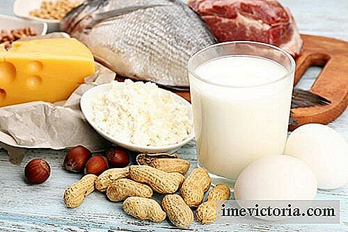 5 Alimentos ricos em proteína que você precisa incluir na sua dieta