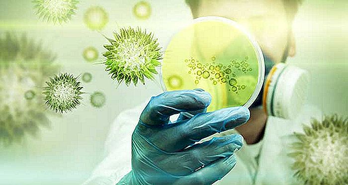 VIROSE - Symptomer, årsaker og behandling