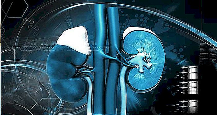 Cum să preveniți bolile de rinichi