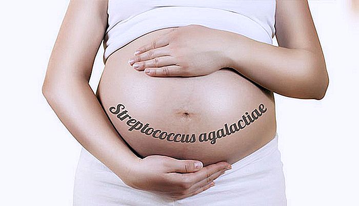 ESTREPTOCOCOS B - Undersøkelse av swab i graviditet
