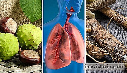 4 Hausmittel, um Ihre Lungen zu stärken und besser zu atmen