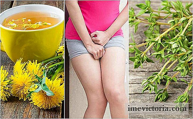5 Herbal Remedies to Calm Cystitis