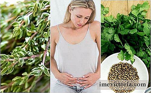 6 Carminative urter for å bli kvitt intestinal gass