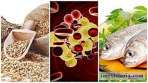 7 Lebensmittel Cholesterin zu kontrollieren