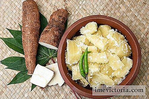 9 Medicinska egenskaper av yuca eller kassava