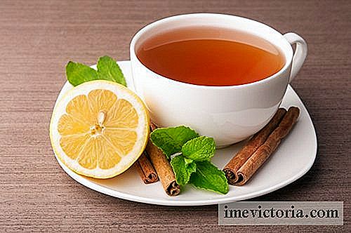 Remedy kanel og stevia å regulere sukker