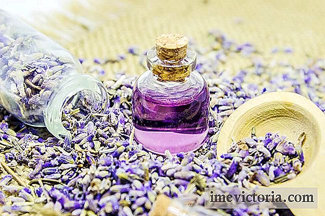 Ontdek hoe u van de voordelen van lavendelolie kunt genieten