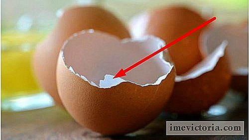 Ikke kast eggeskallet! Finn ut hvordan du bruker dem