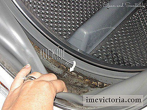 Effectieve tip om schimmel uit de wasmachine te verwijderen