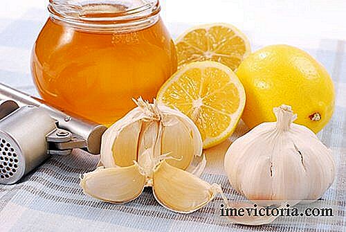Honig mit Knoblauch und Zitrone, um den Tag zu beginnen und Ihre Abwehrkräfte zu stärken