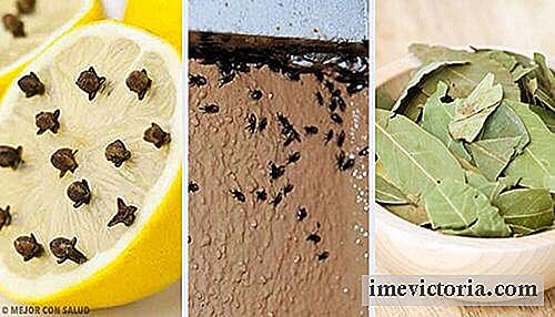 Hoe insecten op een natuurlijke manier worden verwijderd
