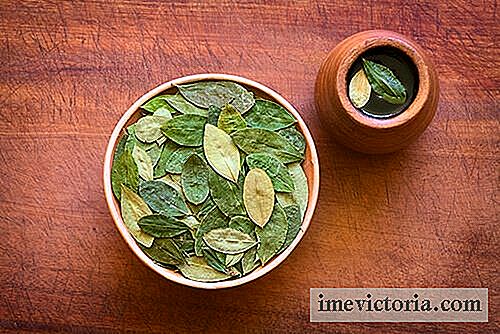 Infusione di foglie di coca: alcuni benefici per la salute sorprendenti