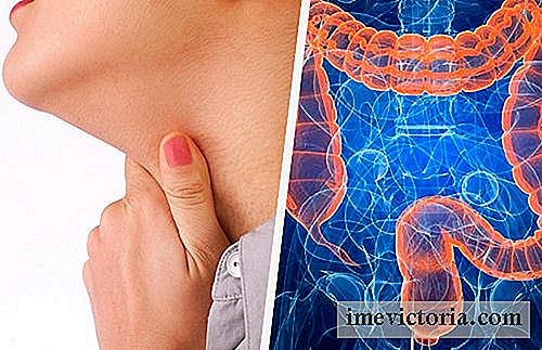 Sammenhengen mellom sykdommer i halsen og tarmene