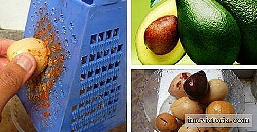 De 10 fördelarna med avokado grop för din hälsa och skönhet