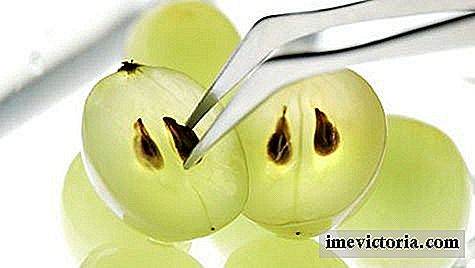 I benefici di salute di semi d'uva e la pelle