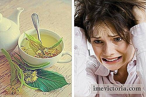 De beste theesoorten aan de zenuwen en angst