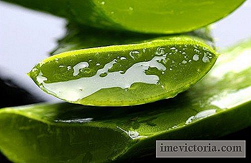 De 10 otroliga användningarna av aloe vera