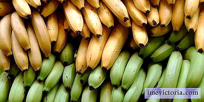 3 Differenze nutrizionali tra piantaggine e banana