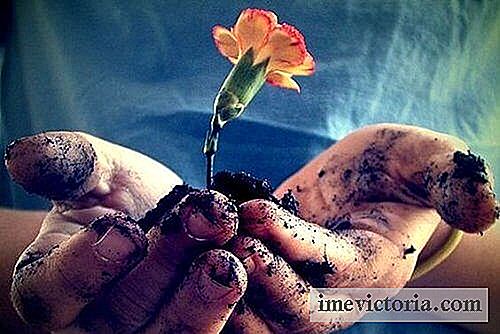 Zorg voor liefde bij de wortel zodat deze elke dag bloeit