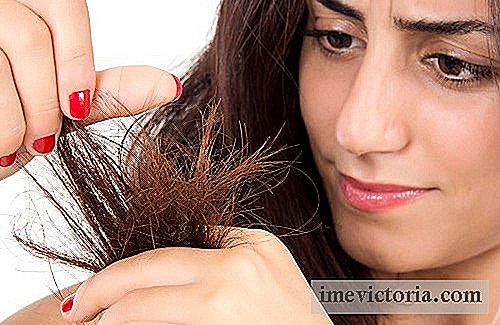 9 Recetas de mascarillas para cabello seco
