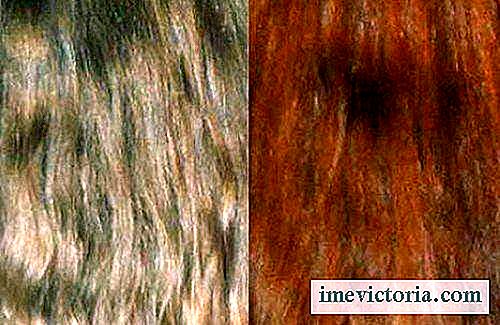 Det er muligt at farve dit hår med naturlige ekstrakter!