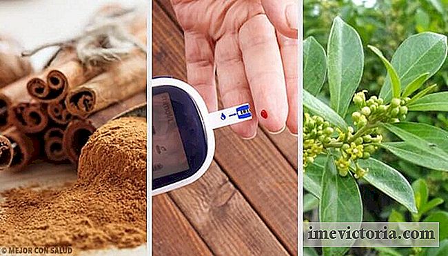 5 Plantas medicinales que ayudan a controlar la diabetes