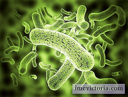 9 Síntomas que advierten sobre la presencia de parásitos en el cuerpo