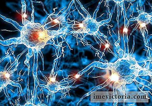 Skupina vědců tvrdí, že se zastavil na úbytku kognitivních funkcí spojené s Alzheimerovou chorobou