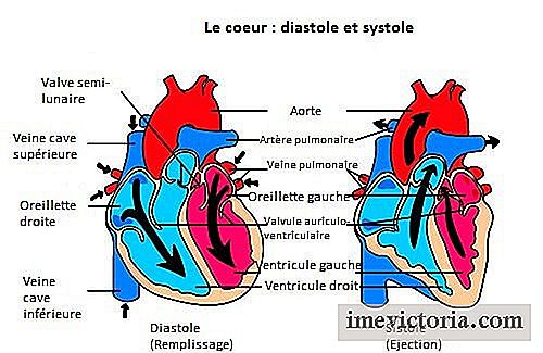 Hjertemormen: hva er det?