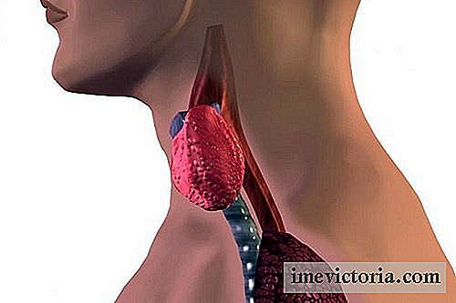 Cómo detectar un problema de tiroides