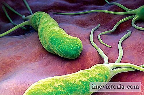 Cómo combatir la bacteria que causa quemaduras, diarrea e hinchazón