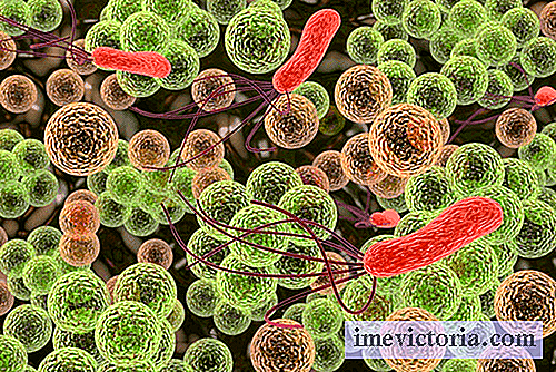 Las 9 bacterias más peligrosas para los humanos