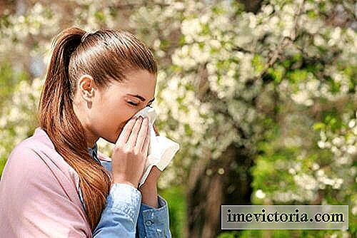 Co jíst k boji proti sezónní alergii