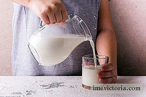 Hvorfor drikker melk daglig kan forårsake osteoporose