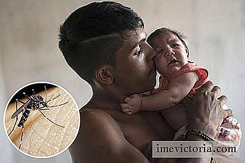 Zika virusvarsel: de 10 tingene du trenger å vite
