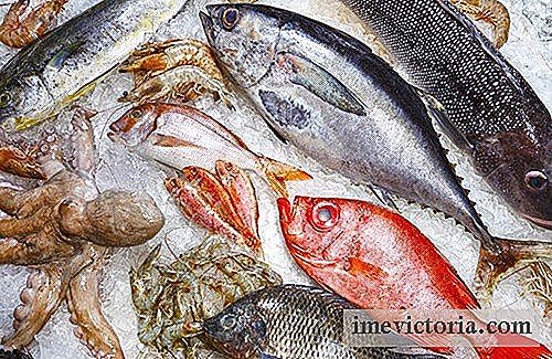 5 Ryb, které byste se měli vyvarovat
