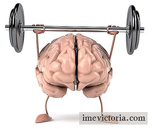 6 Cvičení, jak udržet svůj mozek v kondici