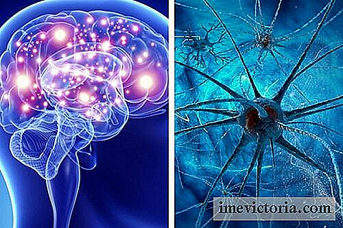 9 Vaner, der dræber neuroner og påvirker hjernens sundhed.